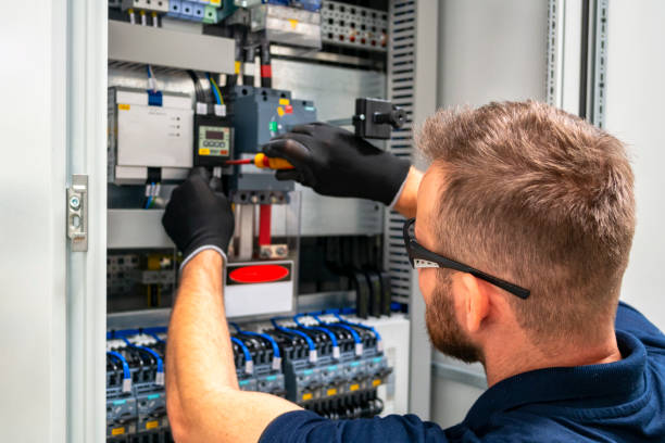 Best Local Electrician Companies  in Hayfield, MN