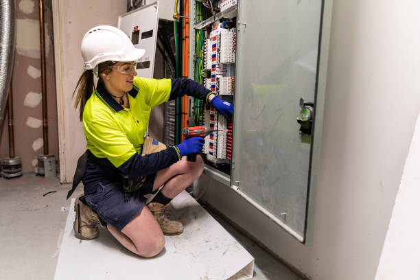 Best Licensed Electrician  in Hayfield, MN