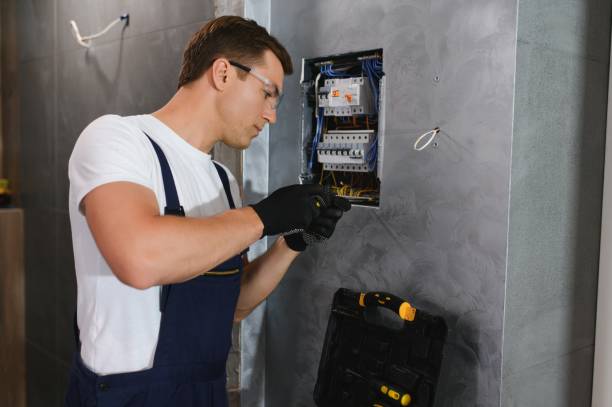 Best Best Electricians Near Me  in Hayfield, MN