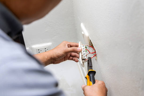 Best 24-Hour Electrician  in Hayfield, MN