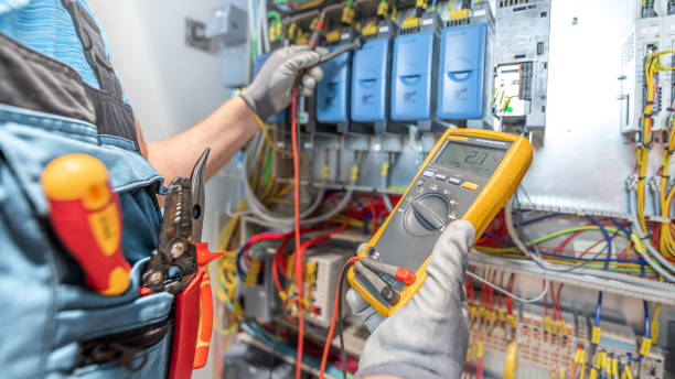 Best Electrical Repair Services  in Hayfield, MN