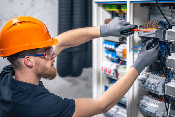 Best Electric Panel Repair  in Hayfield, MN